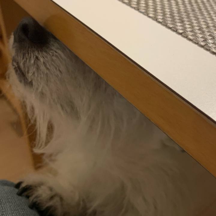 9ecdcaed e925 48f3 9efe e802d39f87e6 1679135087163