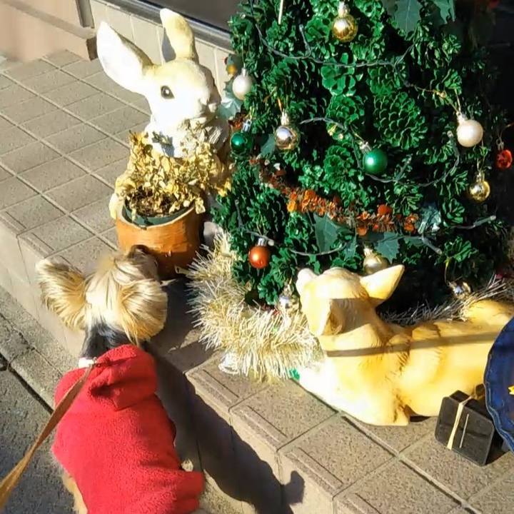 9ecdcced 0b60 4777 ae63 ffb1e2597e2d 1608273077257