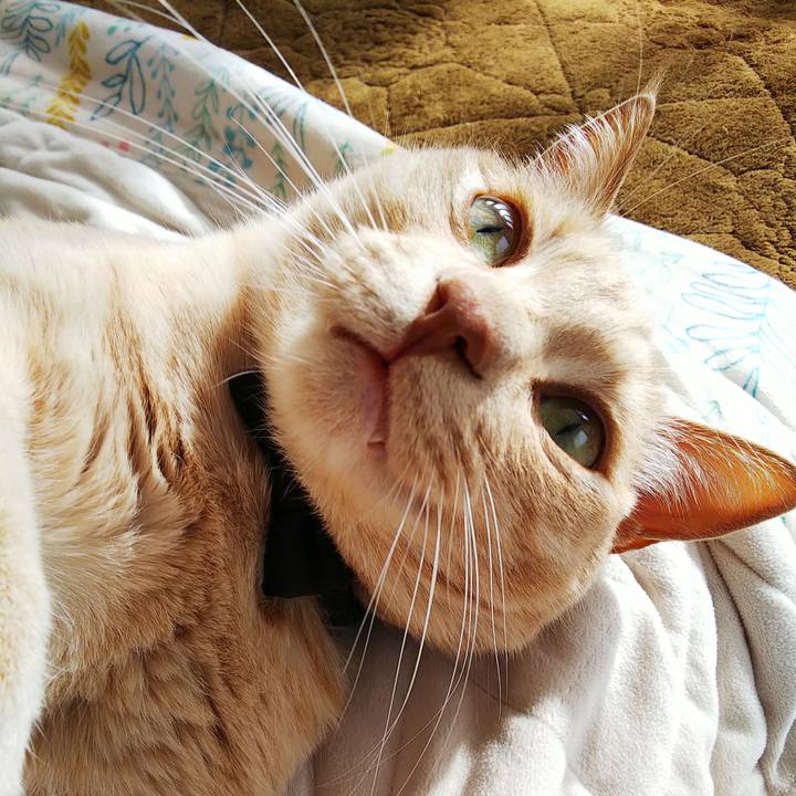 9ecdd297 8603 4c21 bc95 693d333637b2 1613523912676