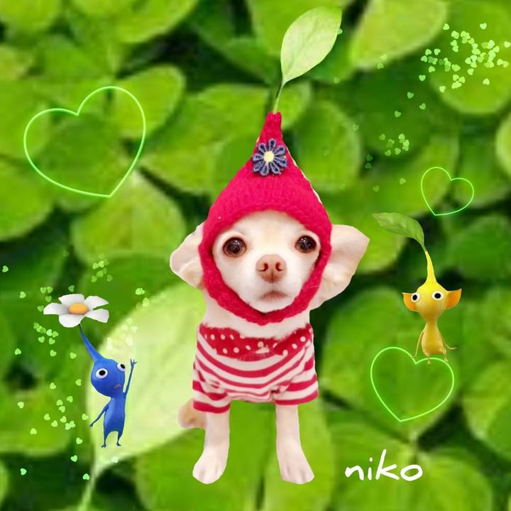 9ecdd95e 0ae9 4baf 97b7 3b87d68442cf 1687658369734