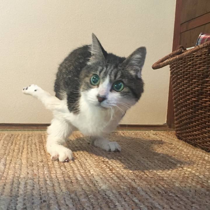 9ece2fdf defd 49d3 ae47 4a2a3ca26307 1593554441790