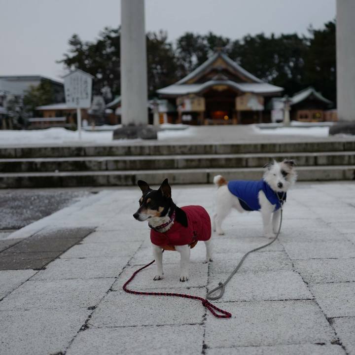 9ece4767 6b0a 4f80 bf3d 77750d2f204a 1516591738873