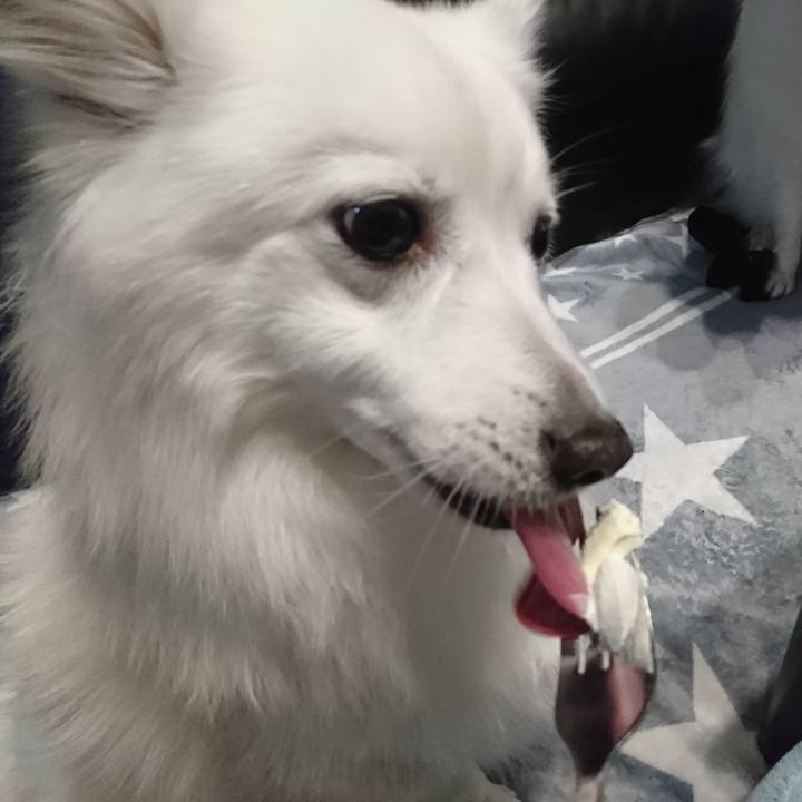 9ece4a72 4fad 4b6a be7d c9e9ac8a9112 1577231983662