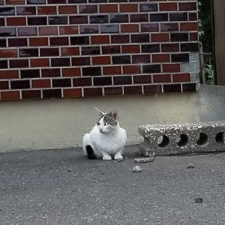 9ece94fd 5cf2 4071 b75b 5cacd1ce91e2 1597923474710