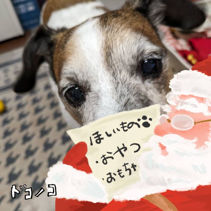 9ecee17a b269 4d3a 9f65 b111b77a5d51 1729051262470