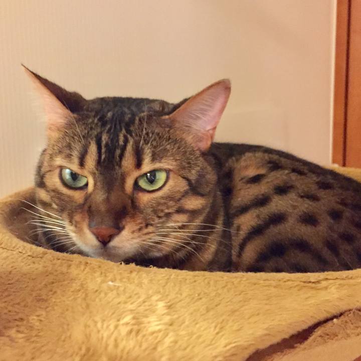 9ecf1787 8ead 4ad3 881c 30d6e2ed0459 1525730192846