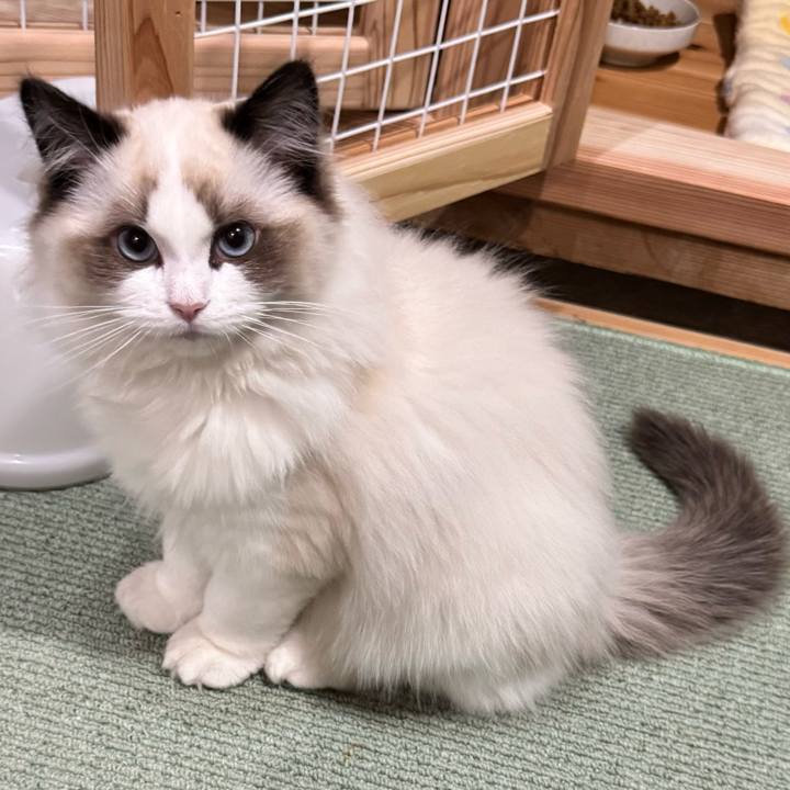 9ecf3c81 a5f7 487a b8a0 157fe4455896 1773841352600