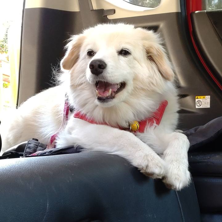 9ecf55c7 3e0b 452a a769 e773bccbf27e 1651662798387