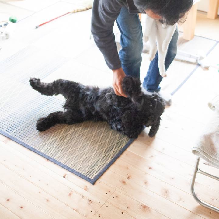 9ecf8276 9220 4dc8 bb9f f2d6ad97d1fc 1572331135446