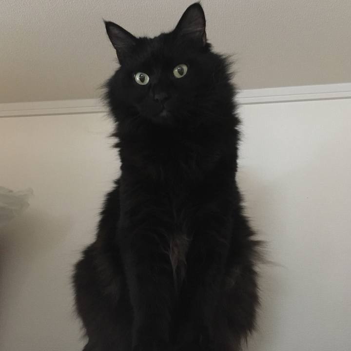 9ecfb49d aa14 4c57 a943 61c19a73ee45 1514106045850