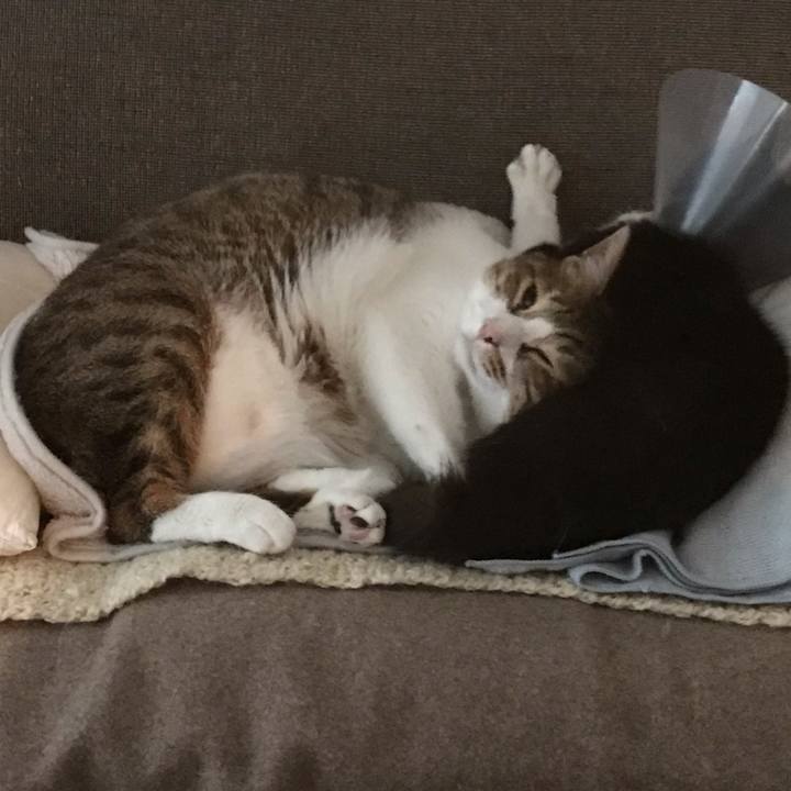 9ecfcd05 b11b 4748 a2e8 375a85051d6f 1587439877186