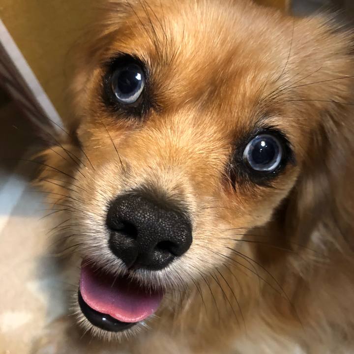 9ecfd5b2 70c1 4a3a 8e67 96f391be5ad6 1535491569418