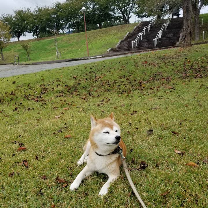 9ecfdf28 47fb 46ba a683 dedca3d0d41c 1696902602043