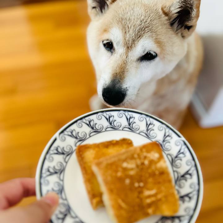 9ecfec93 a2d3 44da b573 7ca2c91cea97 1750049005014