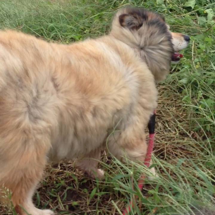 9ecffebd 3f0d 435a 940a d0b89c464585 1641517119204