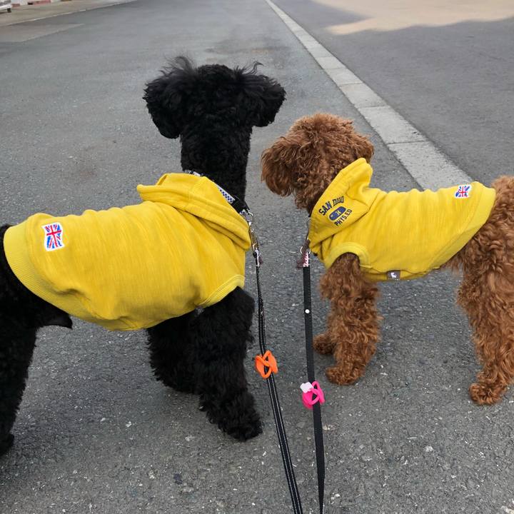 9ed059d1 a1e5 40a2 b748 bf06e761bef5 1521357097494