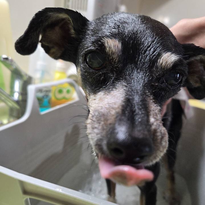 9ed06a7a 7080 444d 8b3b dce4e750da17 1757814094151