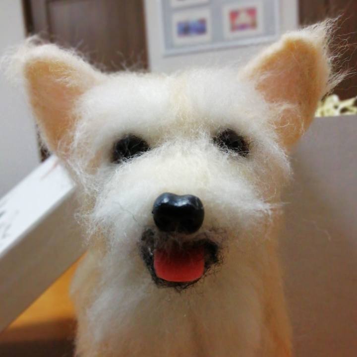 9ed08b9b 7f47 4aa2 8045 b3f9dd4ee39b 1576915435619