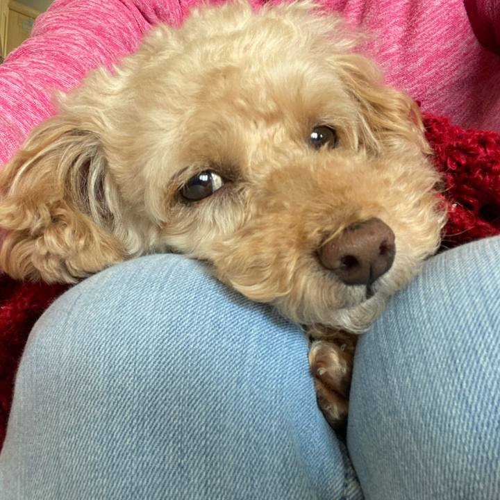 9ed094b2 162c 4ae7 91fa 365a48528530 1624729429693