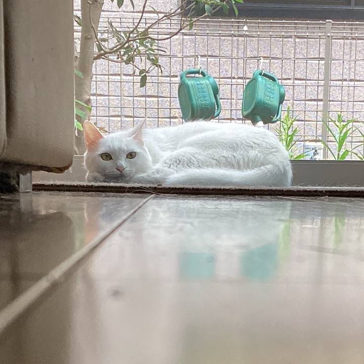 9ed0af7c a20a 46fc 950e 66e6d9ee1c68 1659749153646