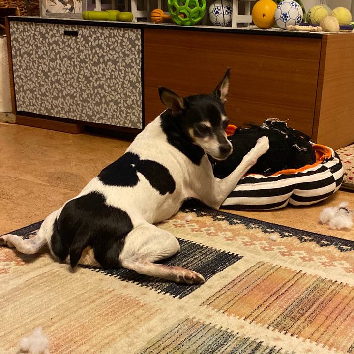 9ed0b79f 4ce7 472b b4e3 f1ff51cd5471 1574860956560