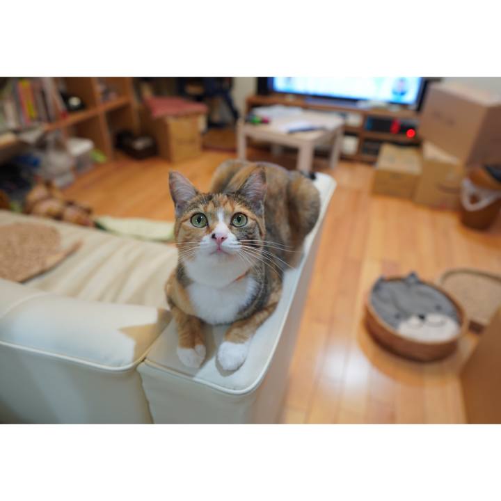 9ed0c494 9bb0 4b83 9988 c6eed00a2545 1602596234937