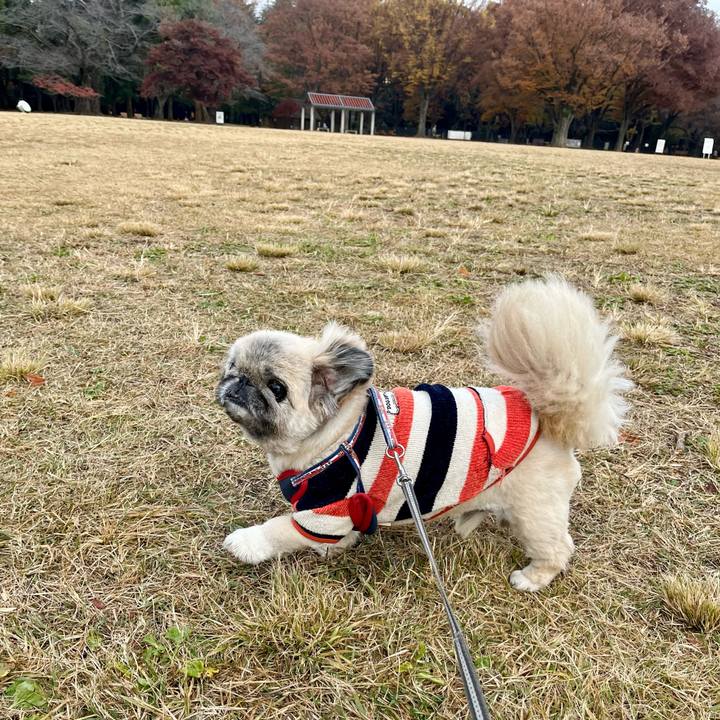 9ed0fd30 4d38 49d9 9e56 2ac5a2d047f2 1764285783046