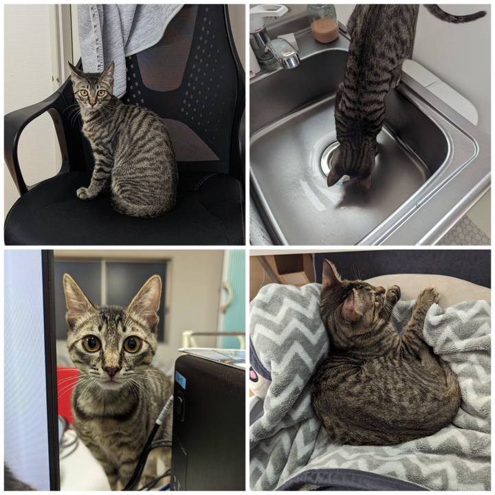 9ed0febf c66d 4c4a 8e72 d44451ae4a04 1706241343317