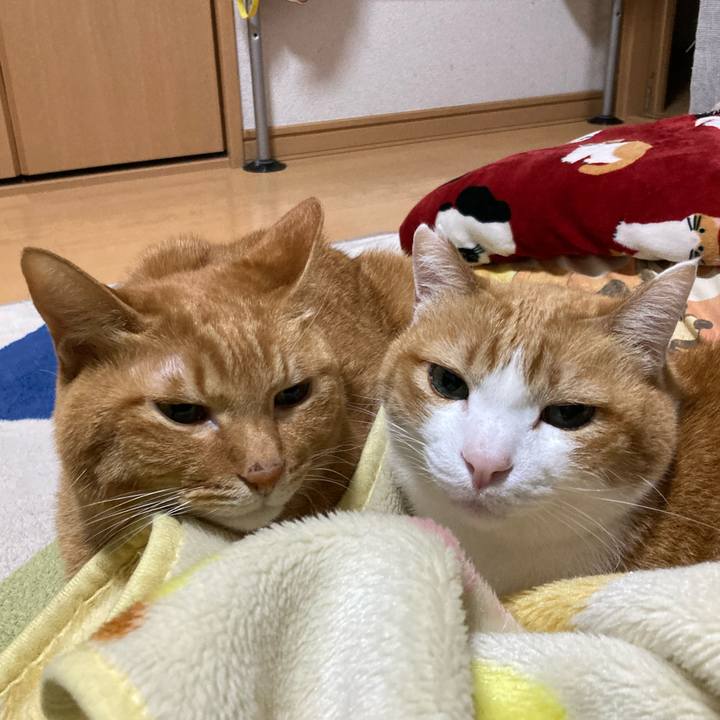 9ed122bf 92ea 46ea 8cce 880ddae27440 1768568383432