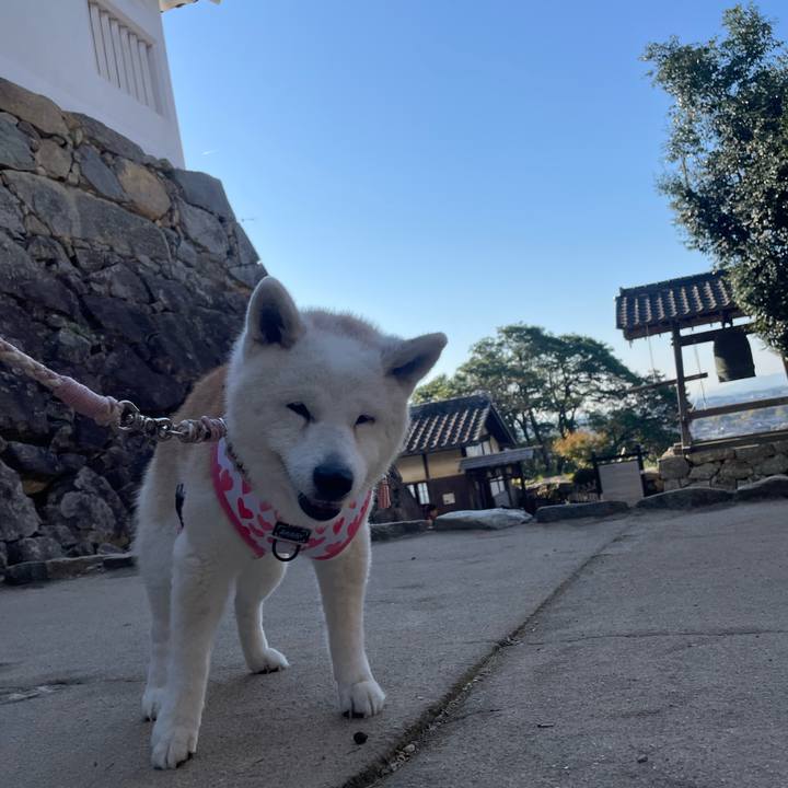 9ed13da9 b09c 4476 ad07 d17d6f20fb68 1762576525361