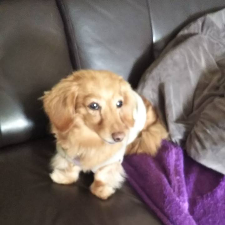 9ed15506 132a 4851 8886 5efc52ddcc19 1577772255764