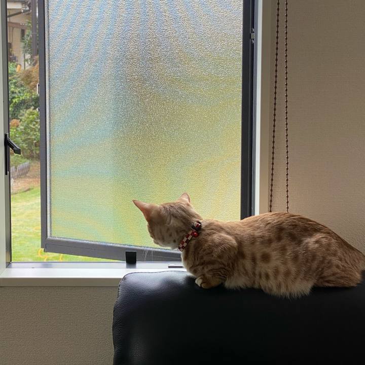 9ed15c2c e33a 4c1b b241 d065a8ee51b9 1602197542356