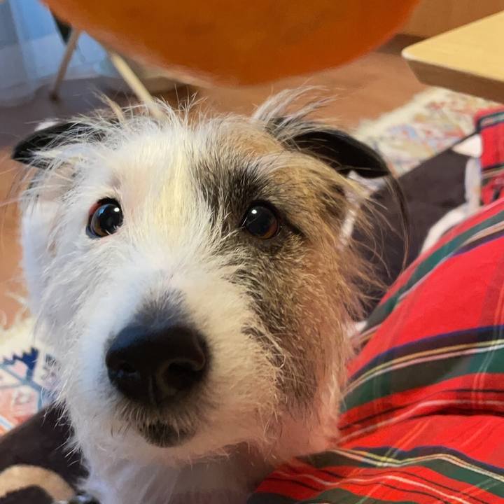 9ed1607f 5fdb 4f05 8434 53d04f5cbce7 1607749053217