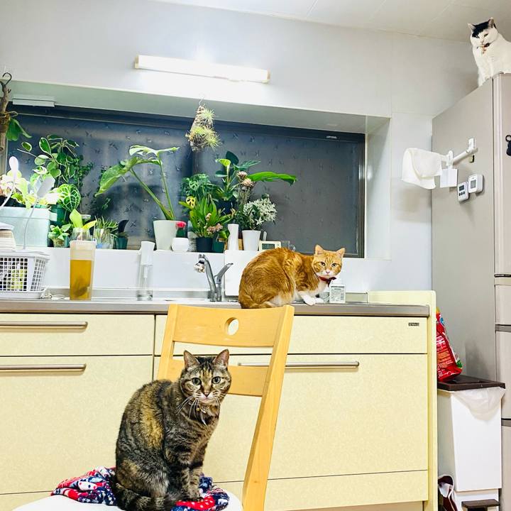 9ed1a481 3a38 4406 8cbc bc6ceeebc553 1705829626075