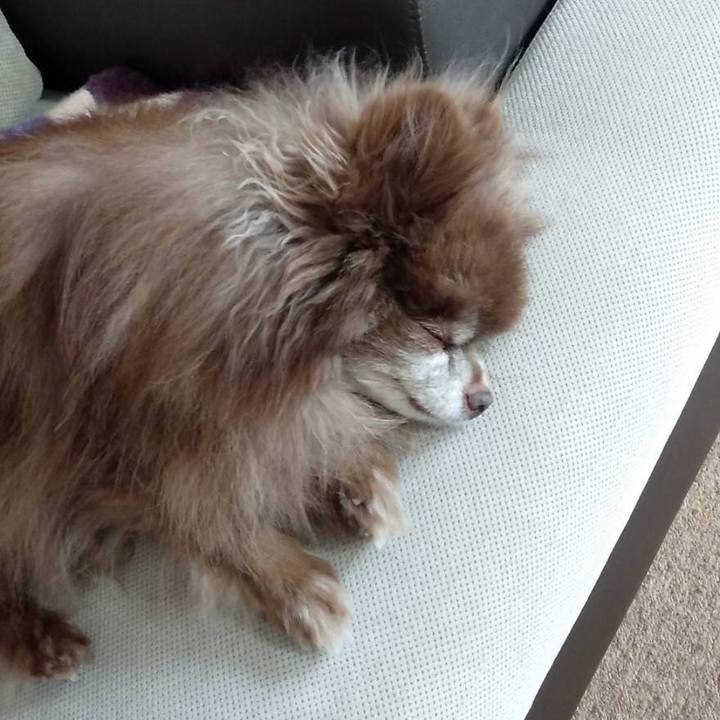 9ed1be3f 37ea 49f1 8bd4 bff51a91bd28 1709855071342