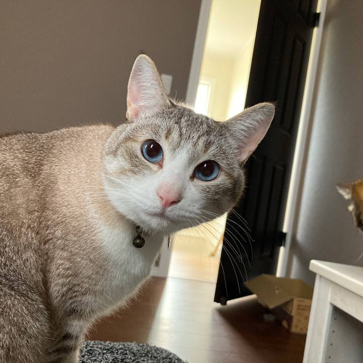 9ed1cdb2 3d44 482e 905f 02906b9f0d1e 1589754246293