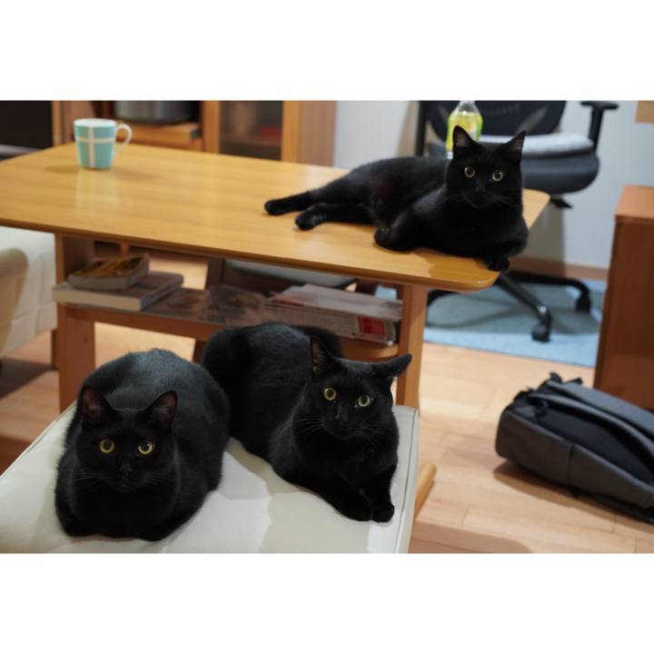 9ed1cf9a 5fff 49f4 b3c3 6be14e7a43d2 1624718272124