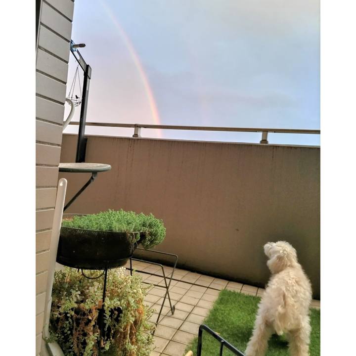 9ed207db 75ed 4f1e 9a41 f873c69f8ba4 1717448018687