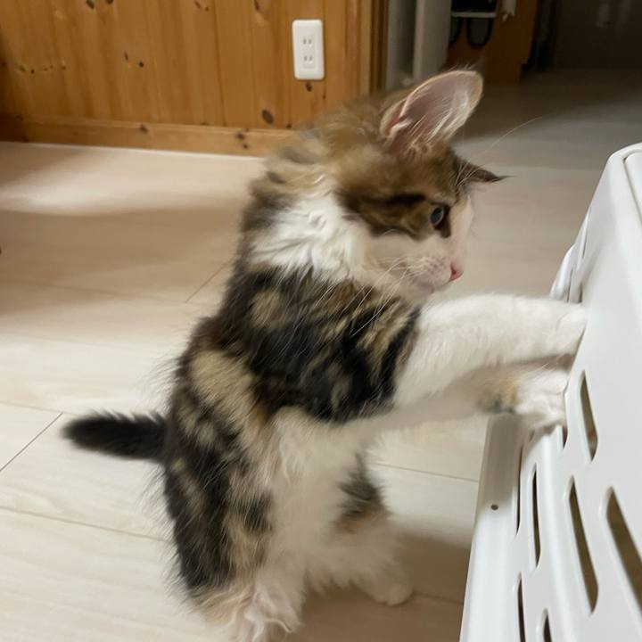 9ed20c18 e4fa 41c2 9608 d07e521f3b64 1632828158440