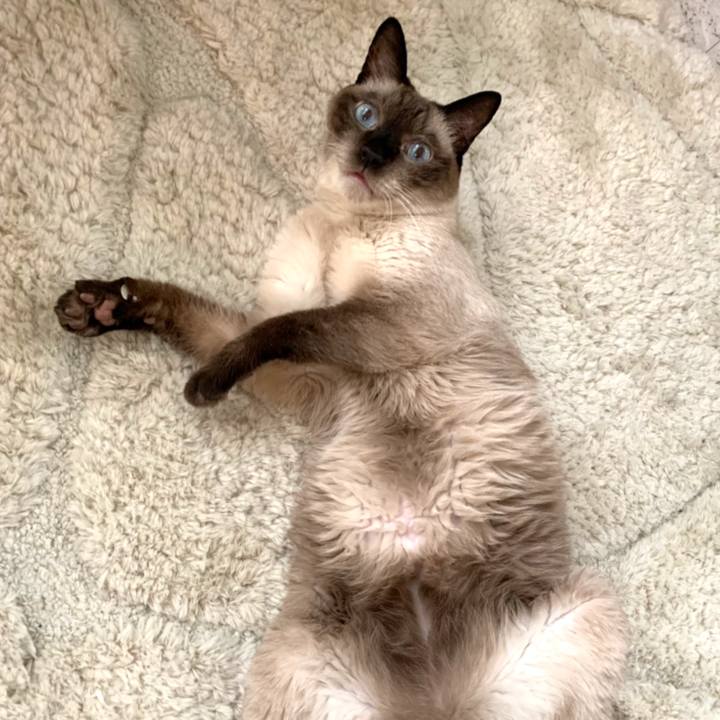 9ed22949 d5a1 45c4 a312 117dbb9aab76 1567416868057