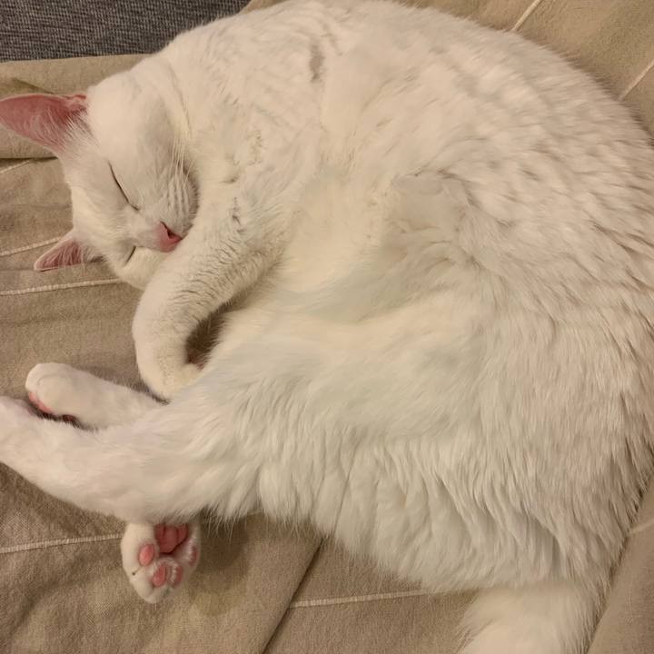 9ed26f44 9d62 4343 bf68 bf85eb26ee2d 1656400294301