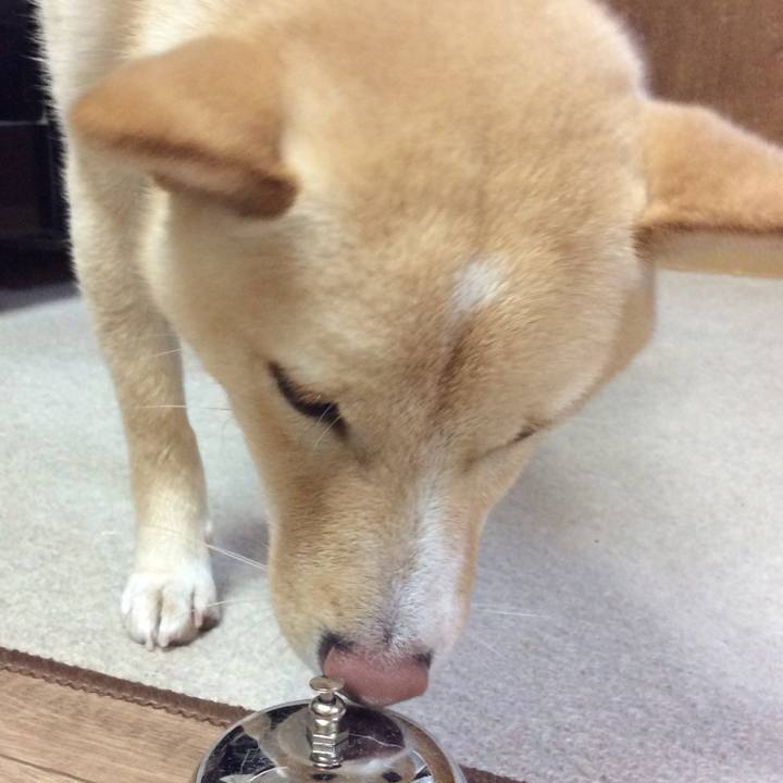 9ed28714 a276 47c8 bb8e d3417ffb38db 1508240106037