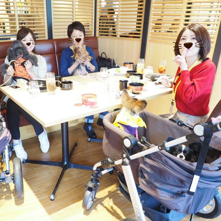 9ed2a8c1 6ec9 4c99 a971 95b67439a1db 1539341083457