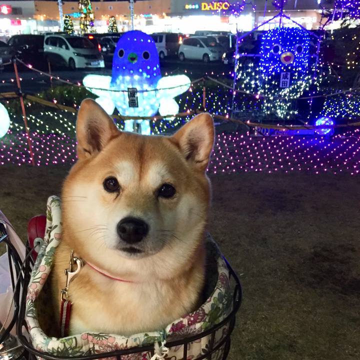 9ed2ab28 057b 4caa ae6d c75c973491ea 1512798559808