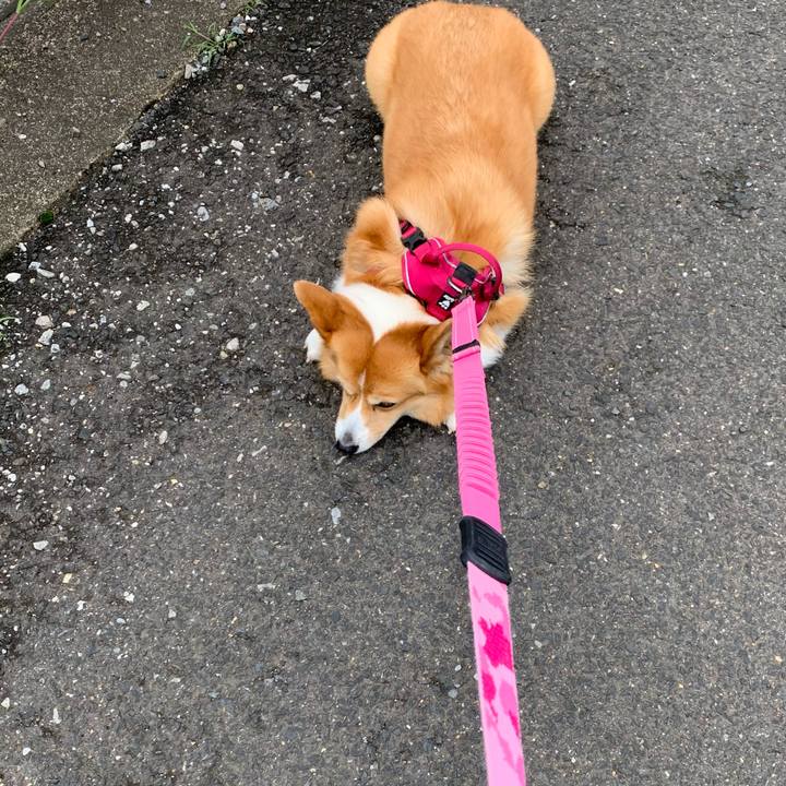 9ed2d693 5629 491c b2cc 04045d791162 1624938690829