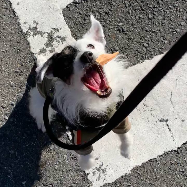 9ed2fddf f92b 4ae6 9b33 3ba69e8e033c 1710289000242