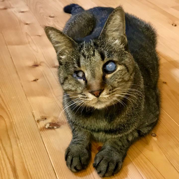 9ed33386 a39e 4e21 8e76 4ad9f79cd51d 1545809090792