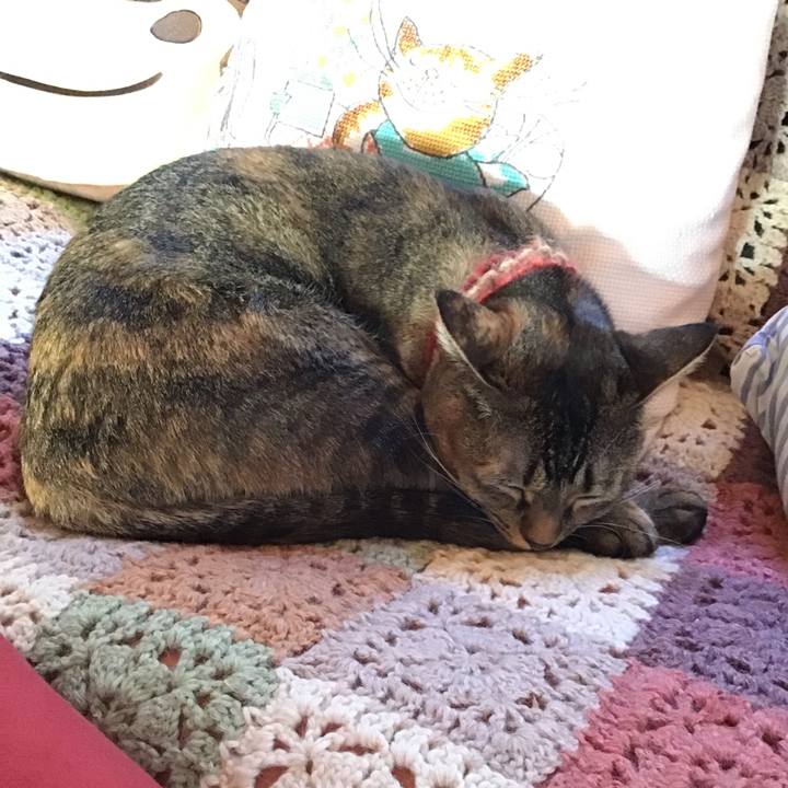 9ed34b9b 1bee 4c4e ac34 3fb079a43383 1632736821010