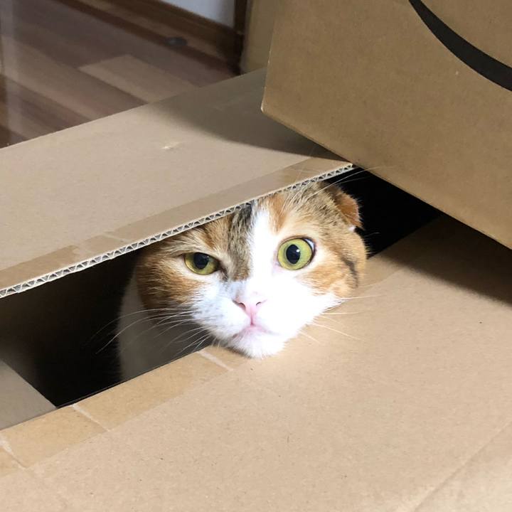 9ed3501e 4f8d 4a78 bcba 4cb5dc3d7688 1541772453472