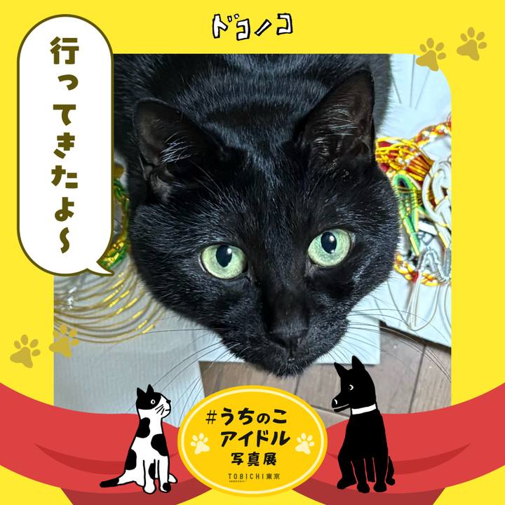 9ed35476 6b55 4a57 b468 25876db7115f 1761664993194